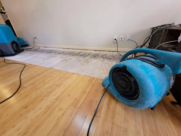Professional Burst Pipe Water Damage technician working in Frontenac, MO